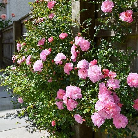 הוילה ברידפורט Sweet Briar - 8234 מראה חיצוני תמונה